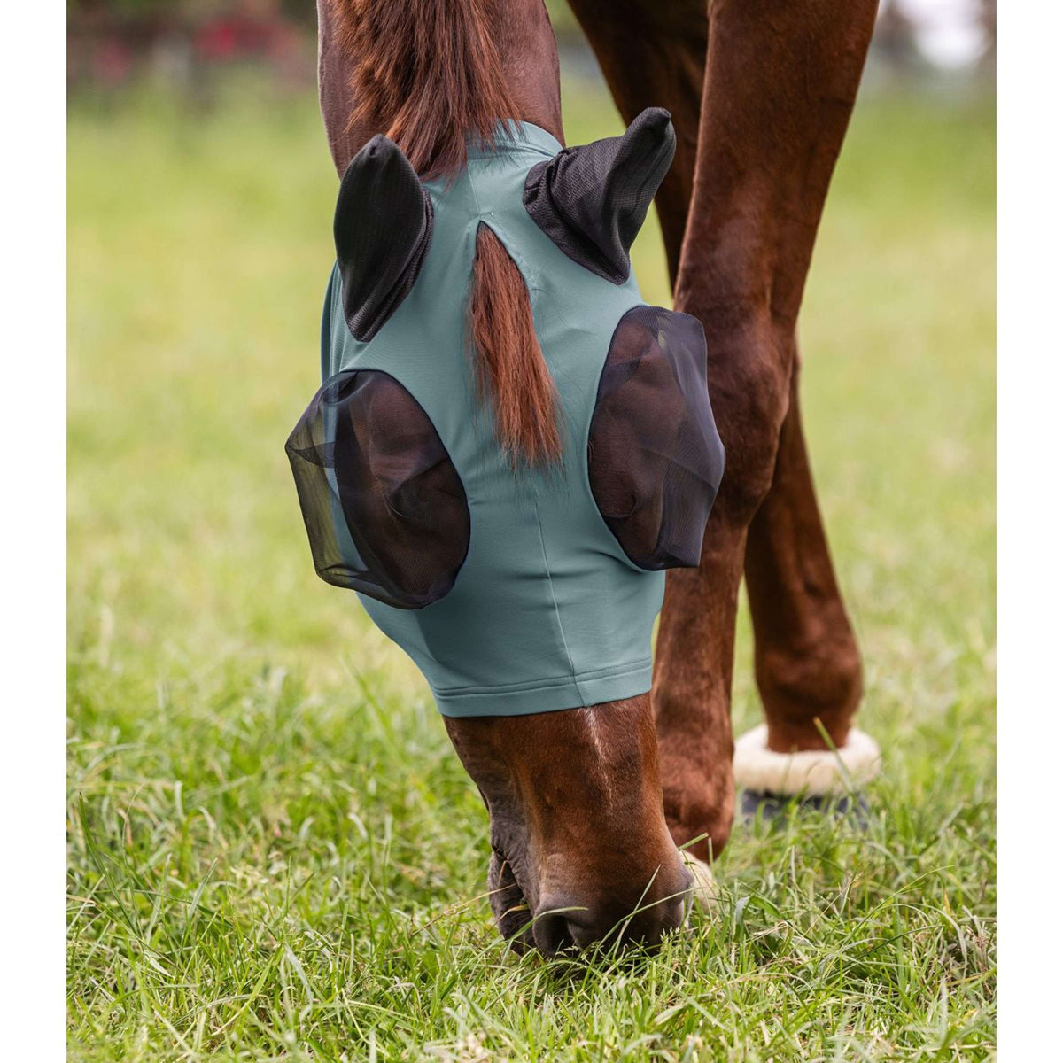 Waldhausen Maschera per Mosche Puck Pine Green