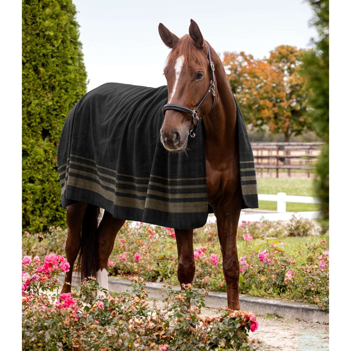 Waldhausen Coperta antisudore Sölden Nero