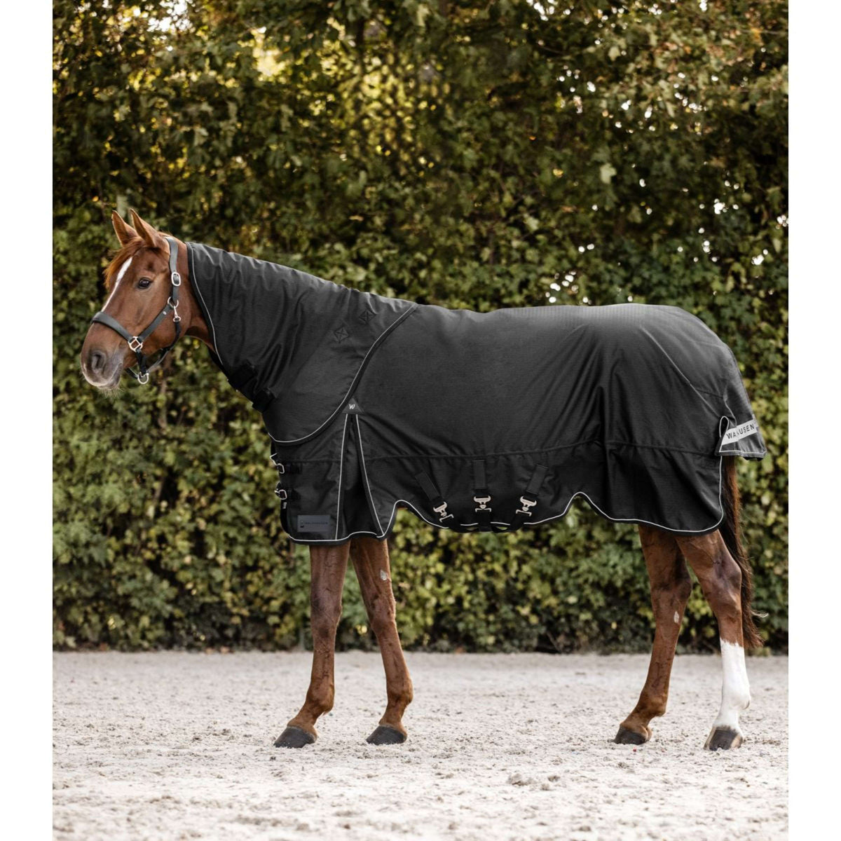 Waldhausen Copricollo Scandic 200 g Nero