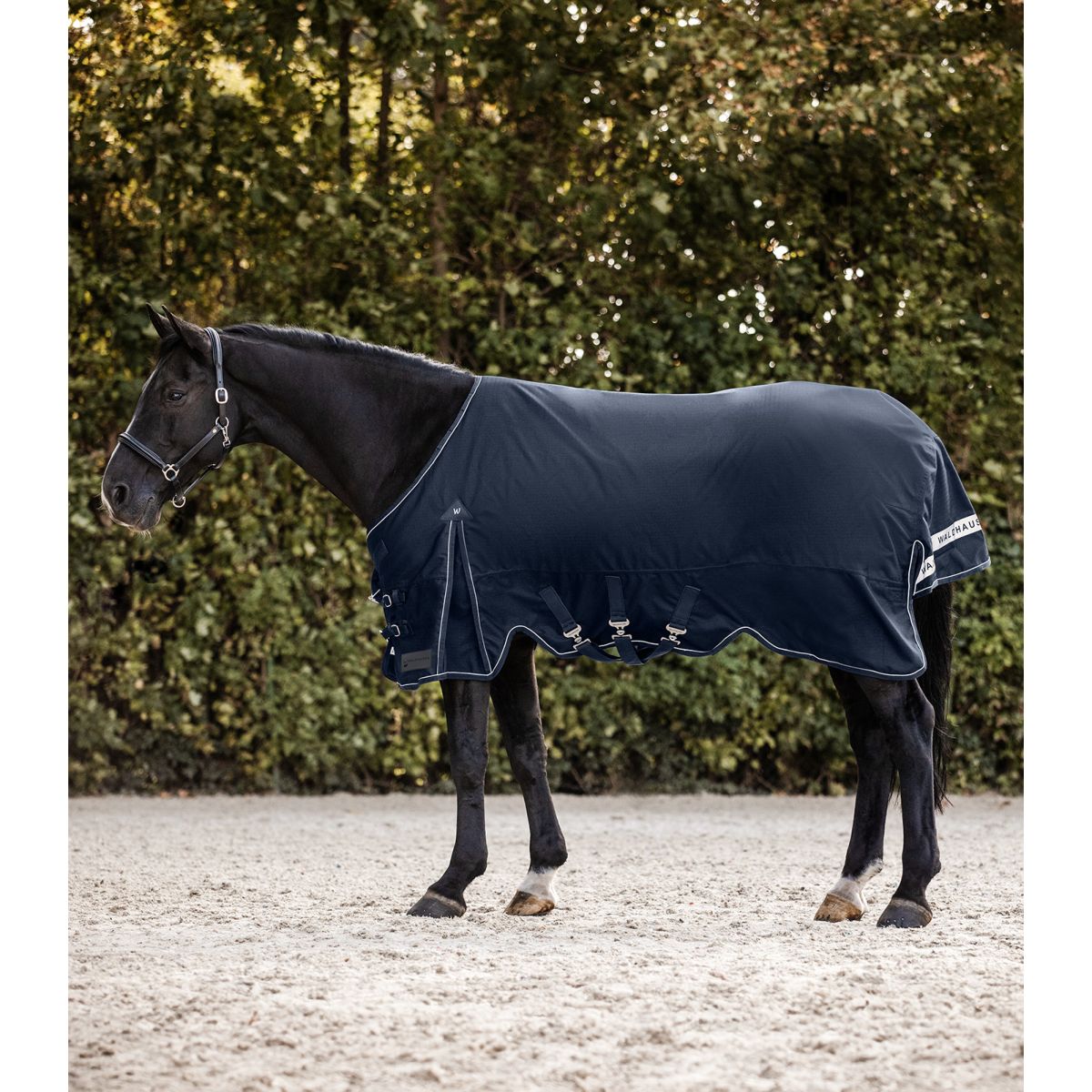 Waldhausen Tappeto da Esterno Scandic Light Blu notte