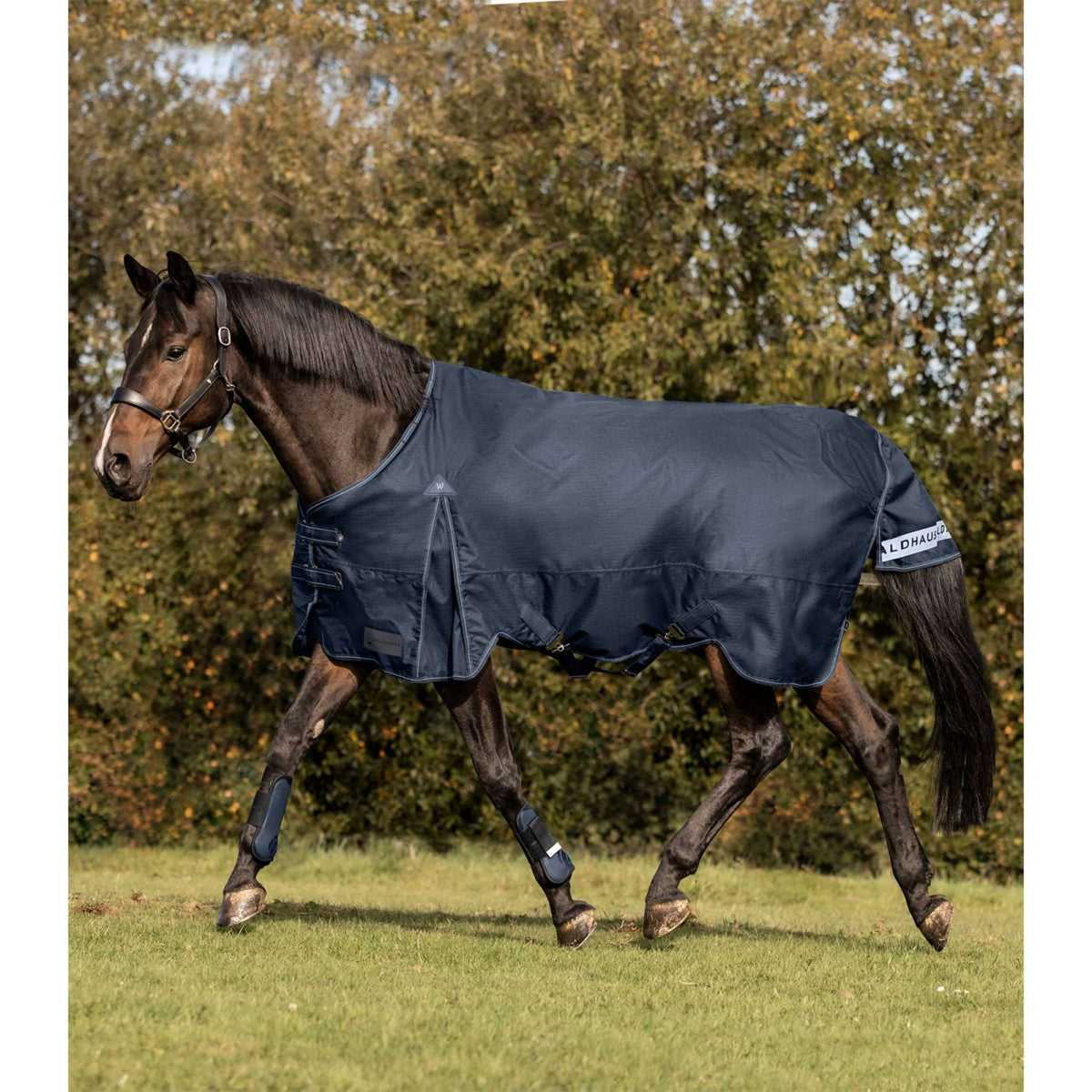 Waldhausen Tappeto da Esterno Arctic 50 g Blu notte