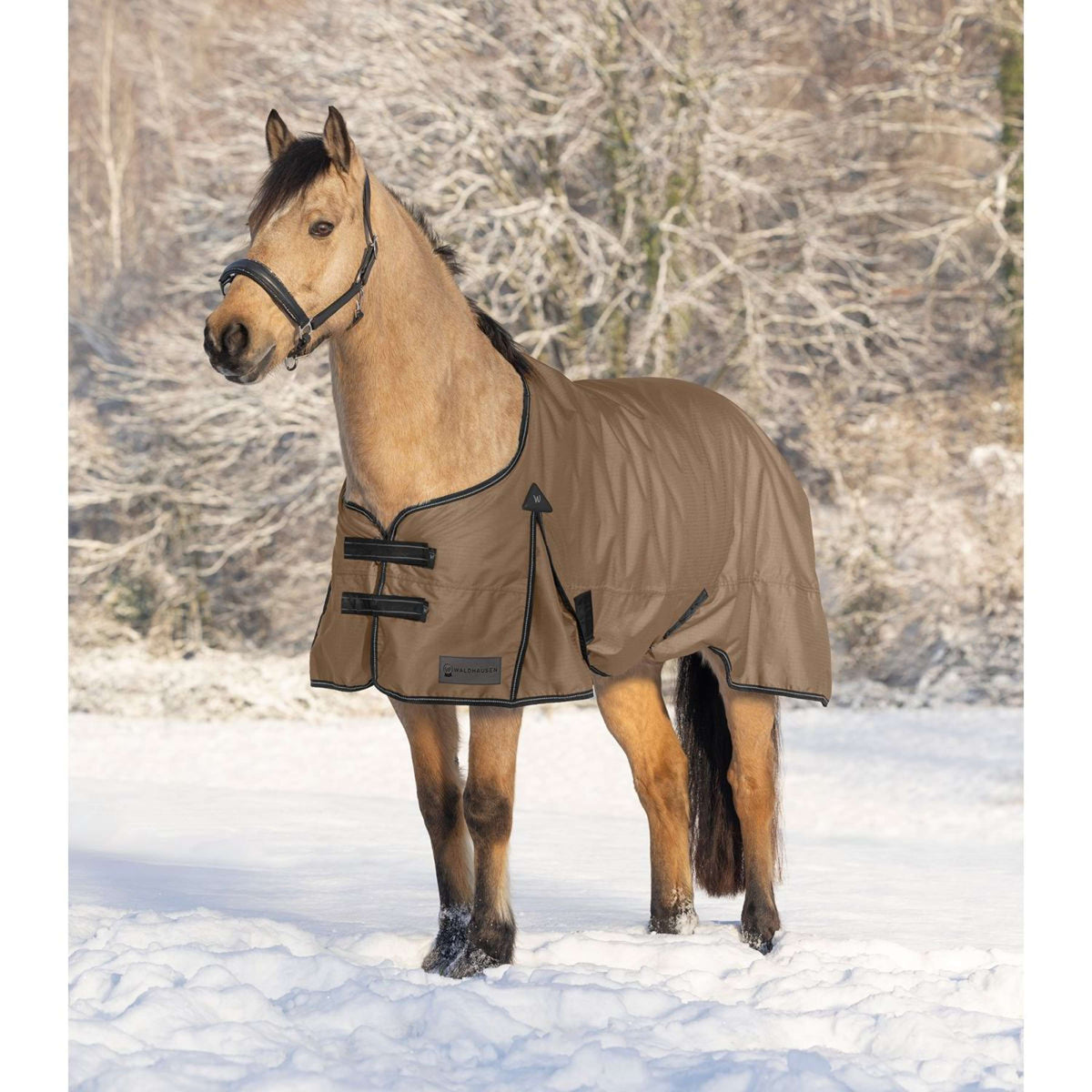 Waldhausen Tappeto da Esterno Arctic 50 g Cappuccino/Nero
