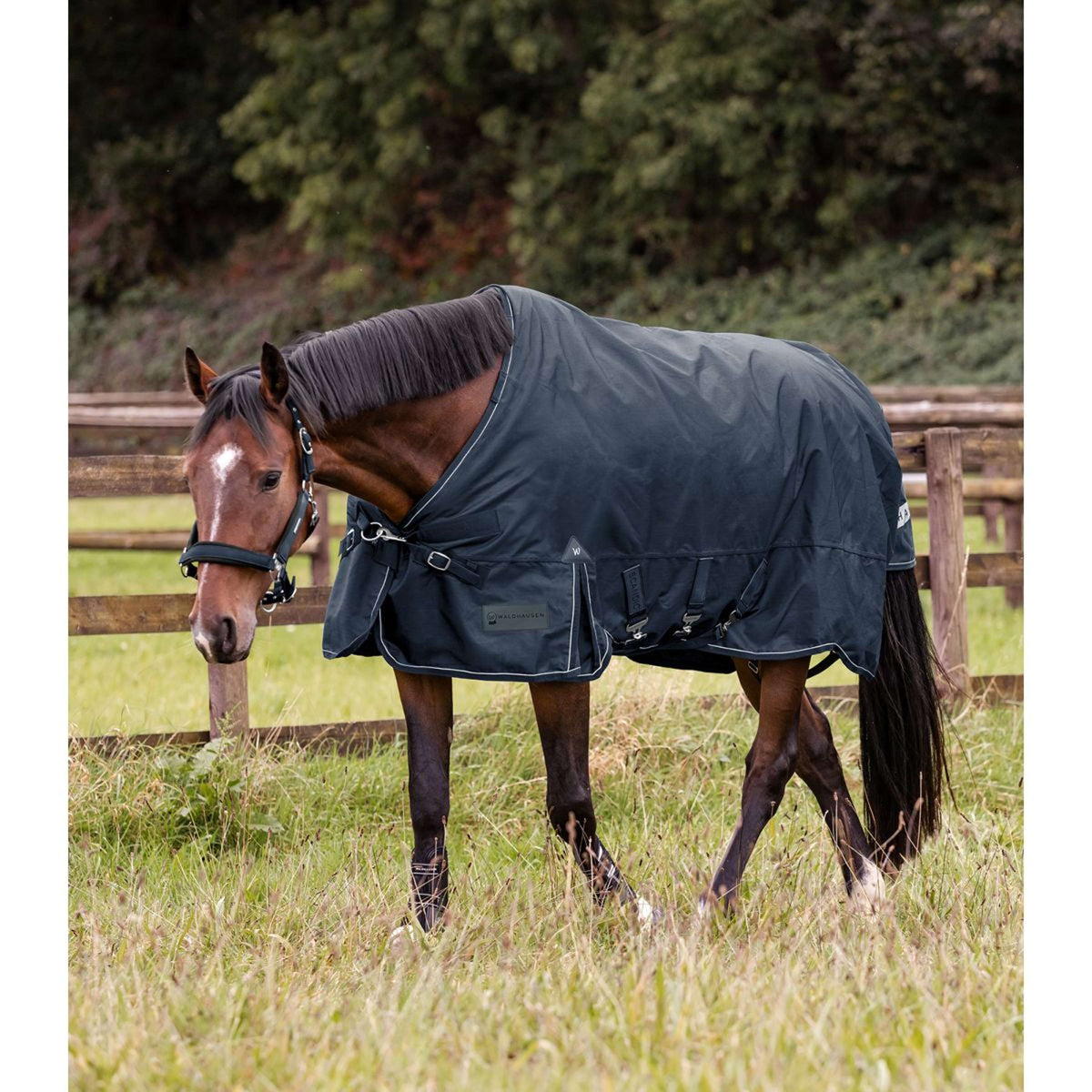 Waldhausen Tappeto da Esterno Scandic Multi-Layer 50/150g Nightblue