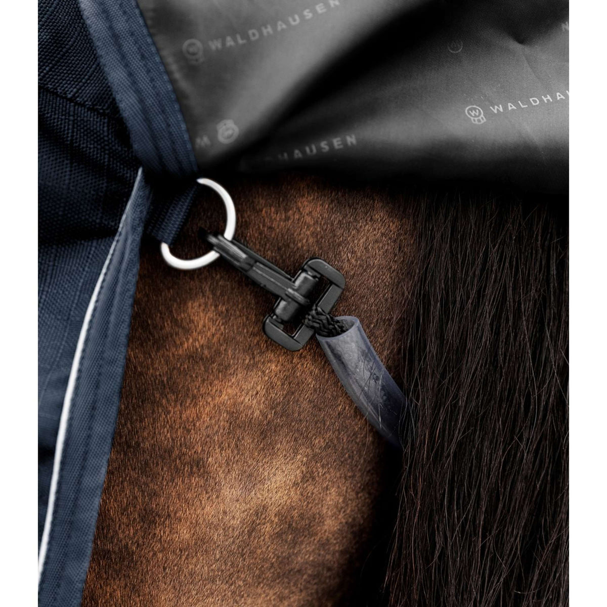 Waldhausen Tappeto da Esterno Scandic Multi-Layer 100/250g Nightblue