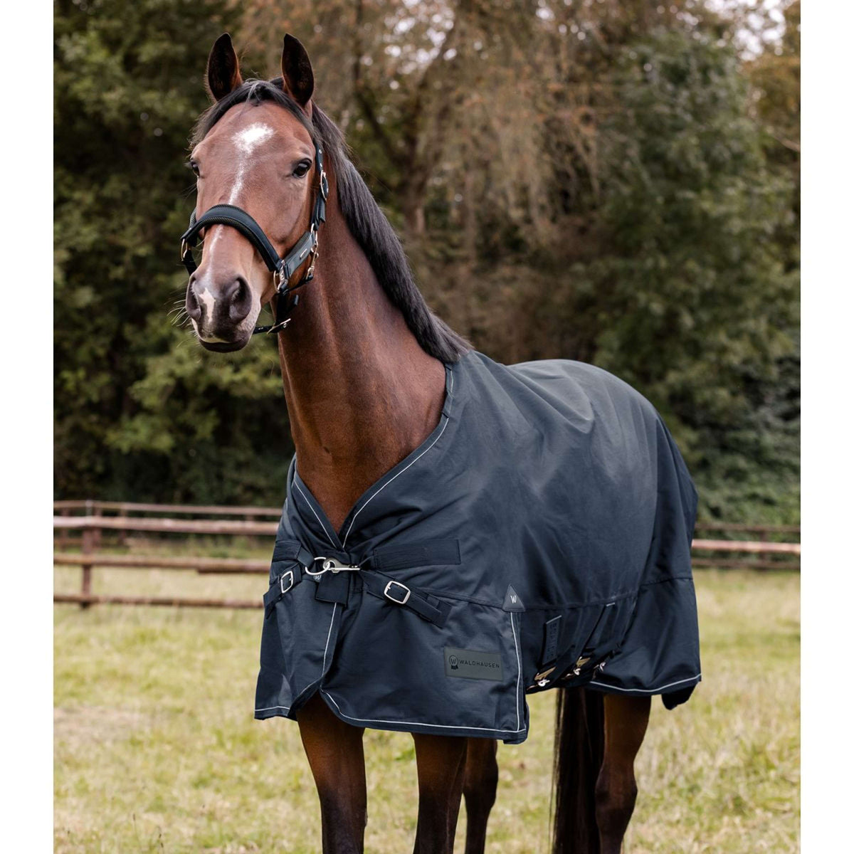 Waldhausen Tappeto da Esterno Scandic Multi-Layer 100/250g Nightblue