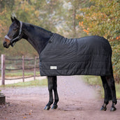 Waldhausen Sottocoperta Thermo Nero