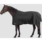 Waldhausen Tappeto da Esterno Nordic 50 g Nero
