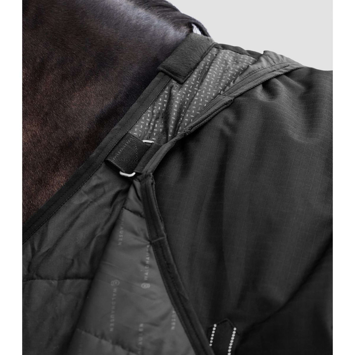 Waldhausen Tappeto da Esterno Nordic 50 g Nero