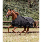 Waldhausen Tappeto da Esterno Nordic 50 g Nero