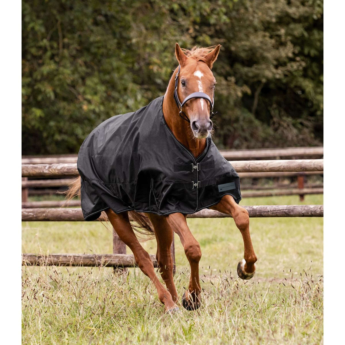 Waldhausen Tappeto da Esterno Nordic 50 g Nero
