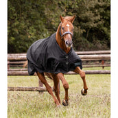 Waldhausen Tappeto da Esterno Nordic 50 g Nero