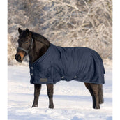 Waldhausen Tappeto da Esterno Nordic 200 g Blu notte