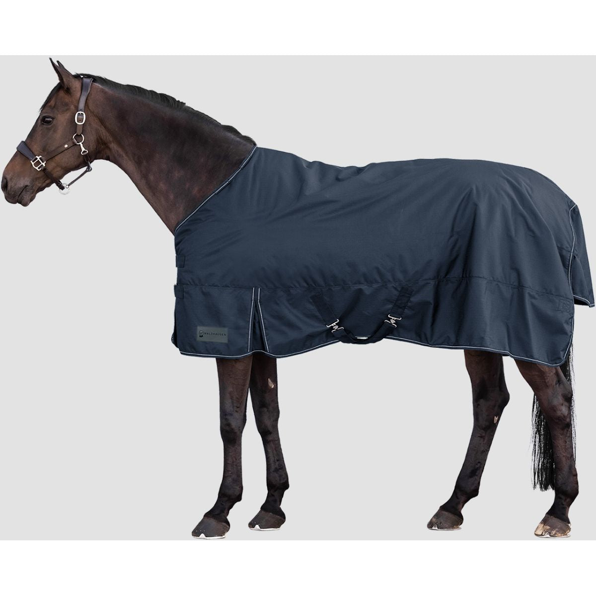 Waldhausen Tappeto da Esterno Nordic 200 g Blu notte