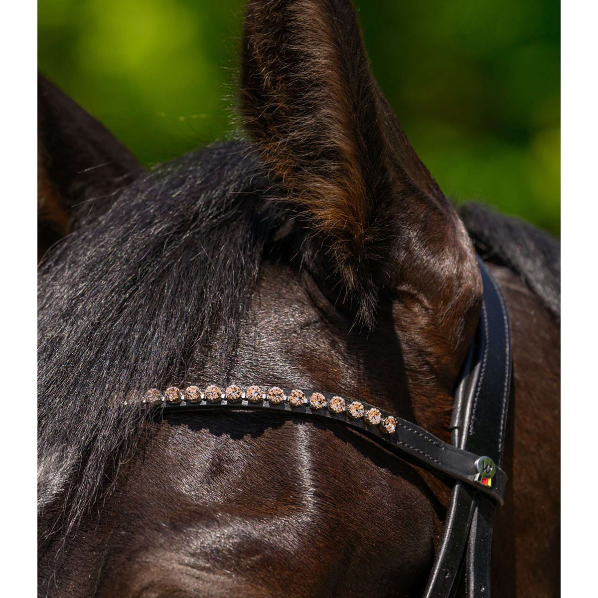 Waldhausen Frontalino X-Line Glam Nero Pesca