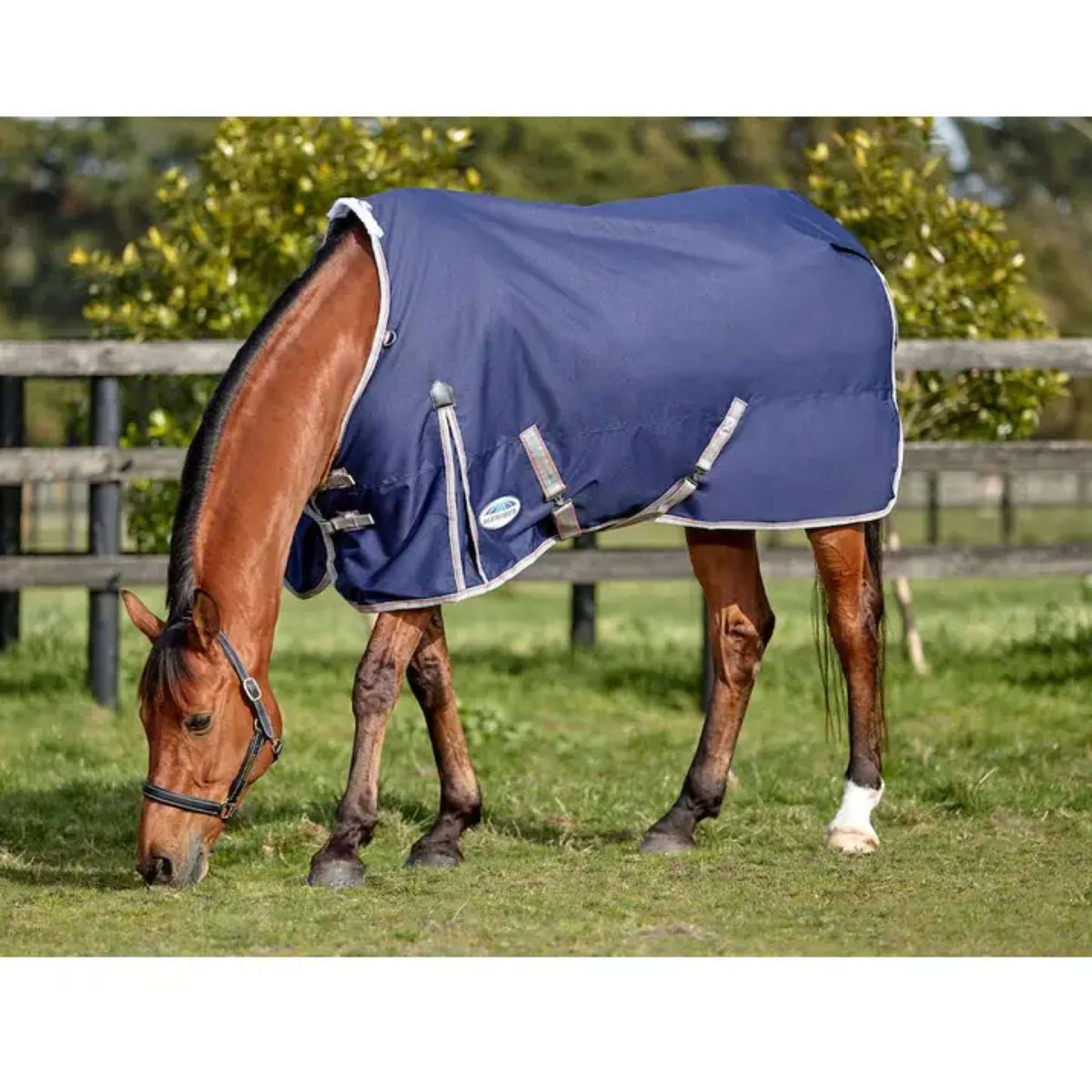 Weatherbeeta Ritorno dell'affluenza alle urne Lite Plus Comfitec Collo standard essenziale Navy/Silver/Red