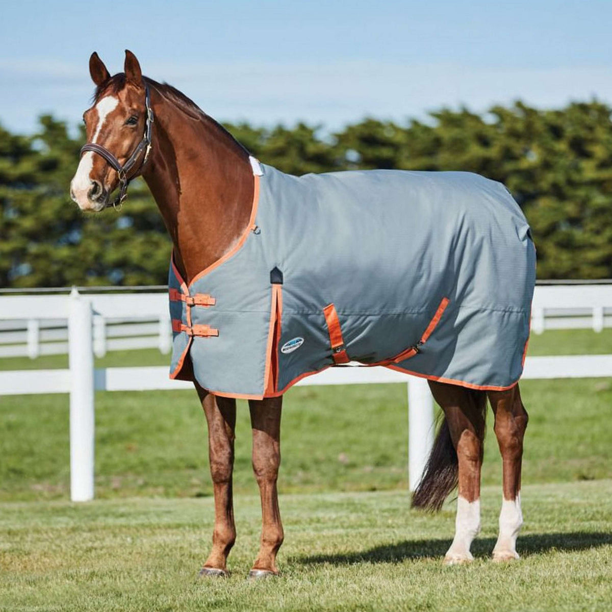 Weatherbeeta Comfitec Classic Standard Neck Medium Canna di fucile/Corallo