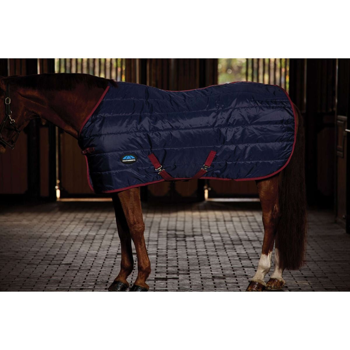 Weatherbeeta Coperta da scuderia Comfitec 210D Channel Quilt Standard Neck 100g Navy/Burgundy