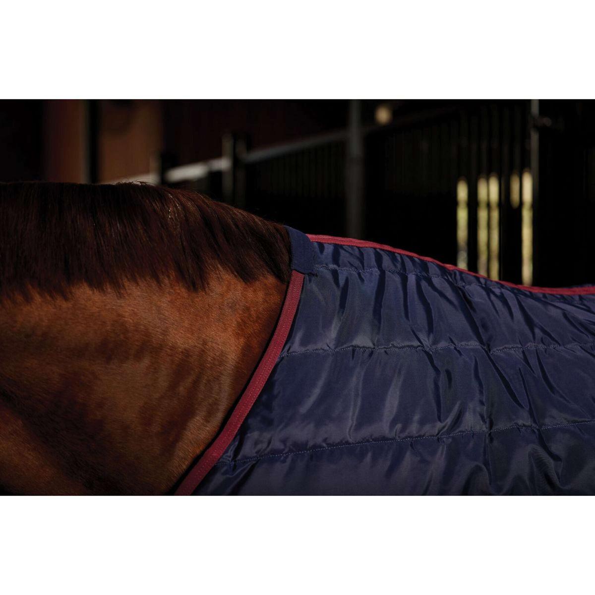 Weatherbeeta Coperta da scuderia Comfitec 210D Channel Quilt Standard Neck 100g Navy/Burgundy