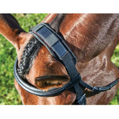 Weatherbeeta Blocco sondaggio Therapy-Tec Nero
