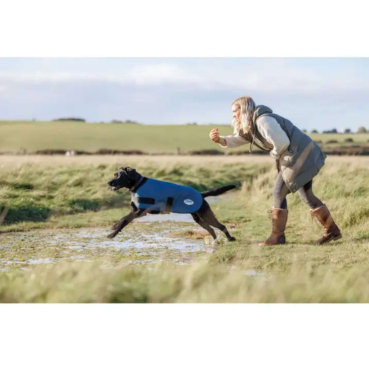 Weatherbeeta Cappotto per cani Parka Comfitec Classic Blu scuro