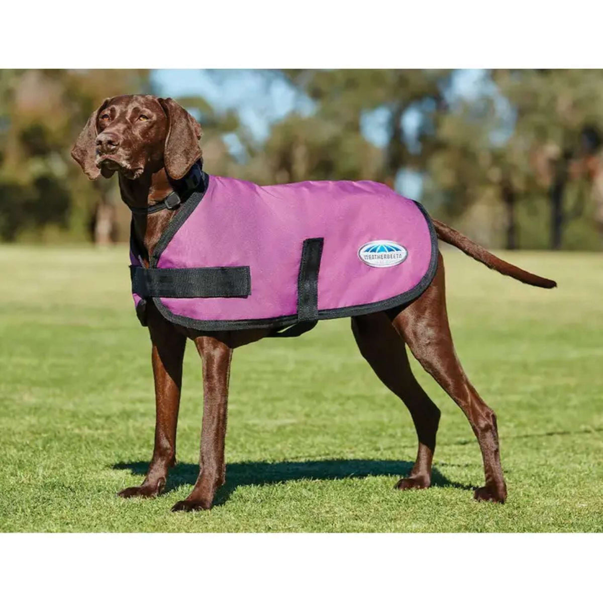 Weatherbeeta Cappotto per cani Parka Comfitec Classic Pink