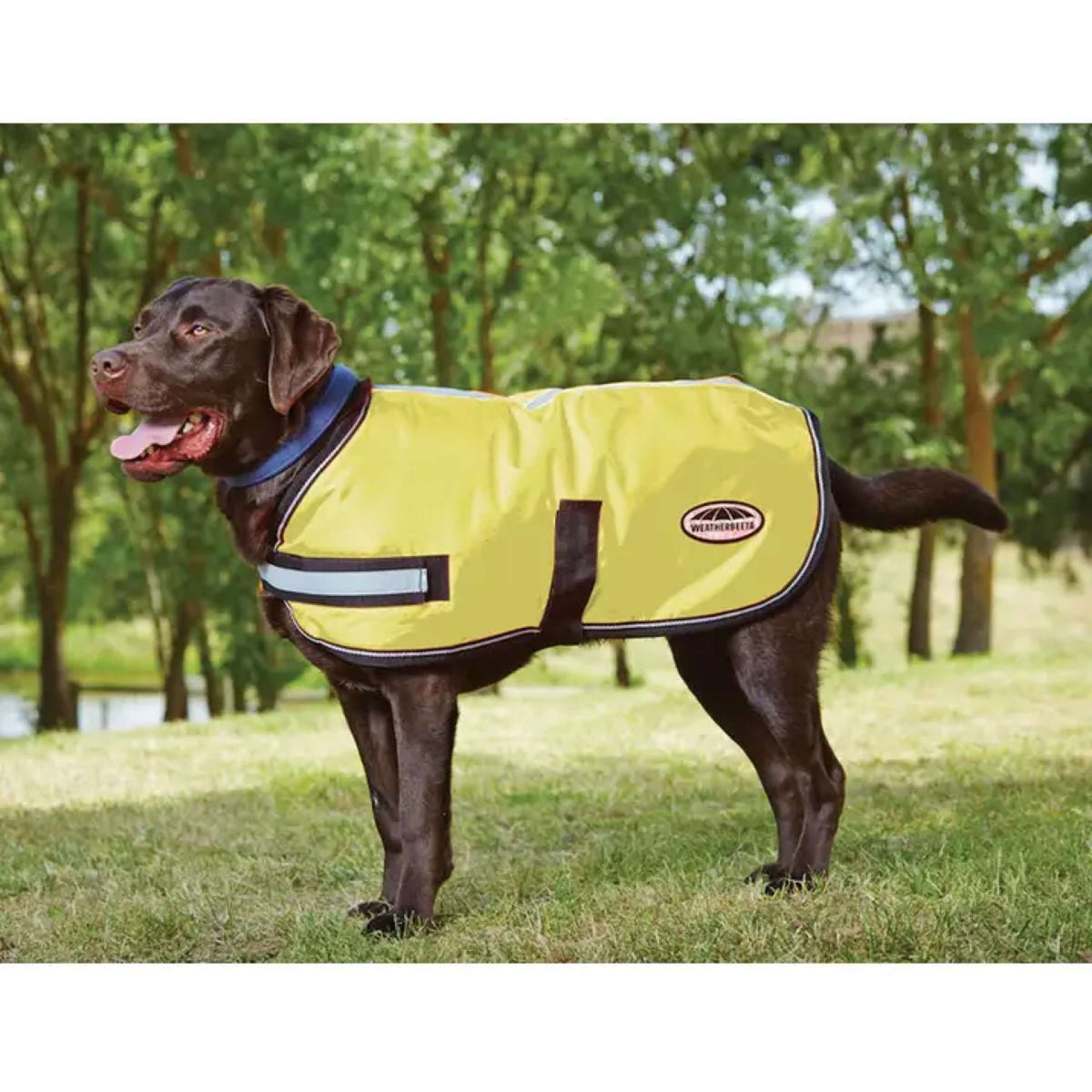 Weatherbeeta Cappotto per cani Giallo