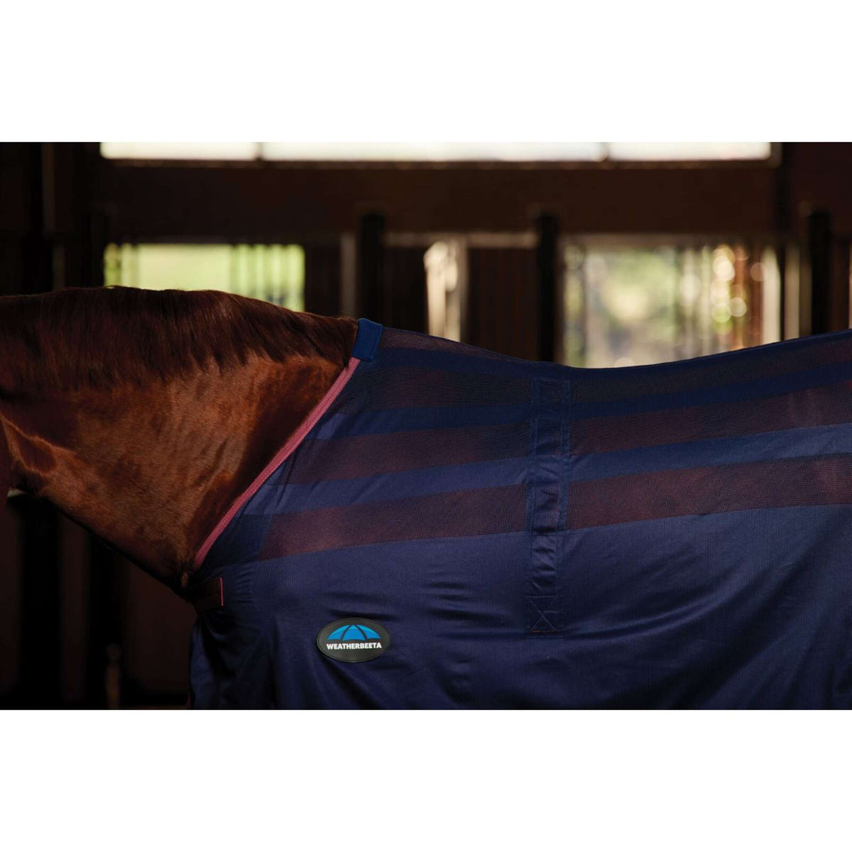 Weatherbeeta Cooler Scrim Standard Neck Navy/Burgundy