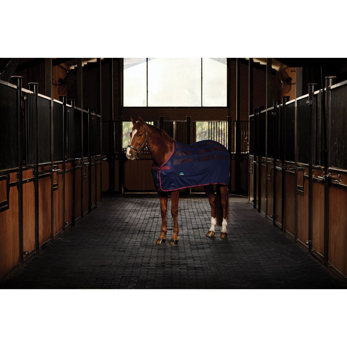 Weatherbeeta Cooler Scrim Standard Neck Navy/Burgundy