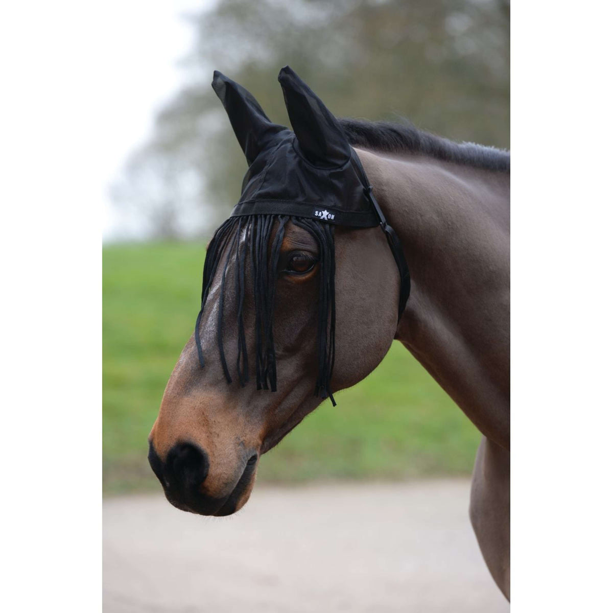 Weatherbeeta Frontalino Anti-Mosche Saxon Nero