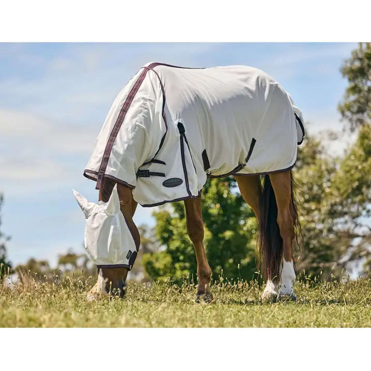 WeatherBeeta ComFiTec Essential Mesh II Combo Neck Bianco/Marrone/Grigio