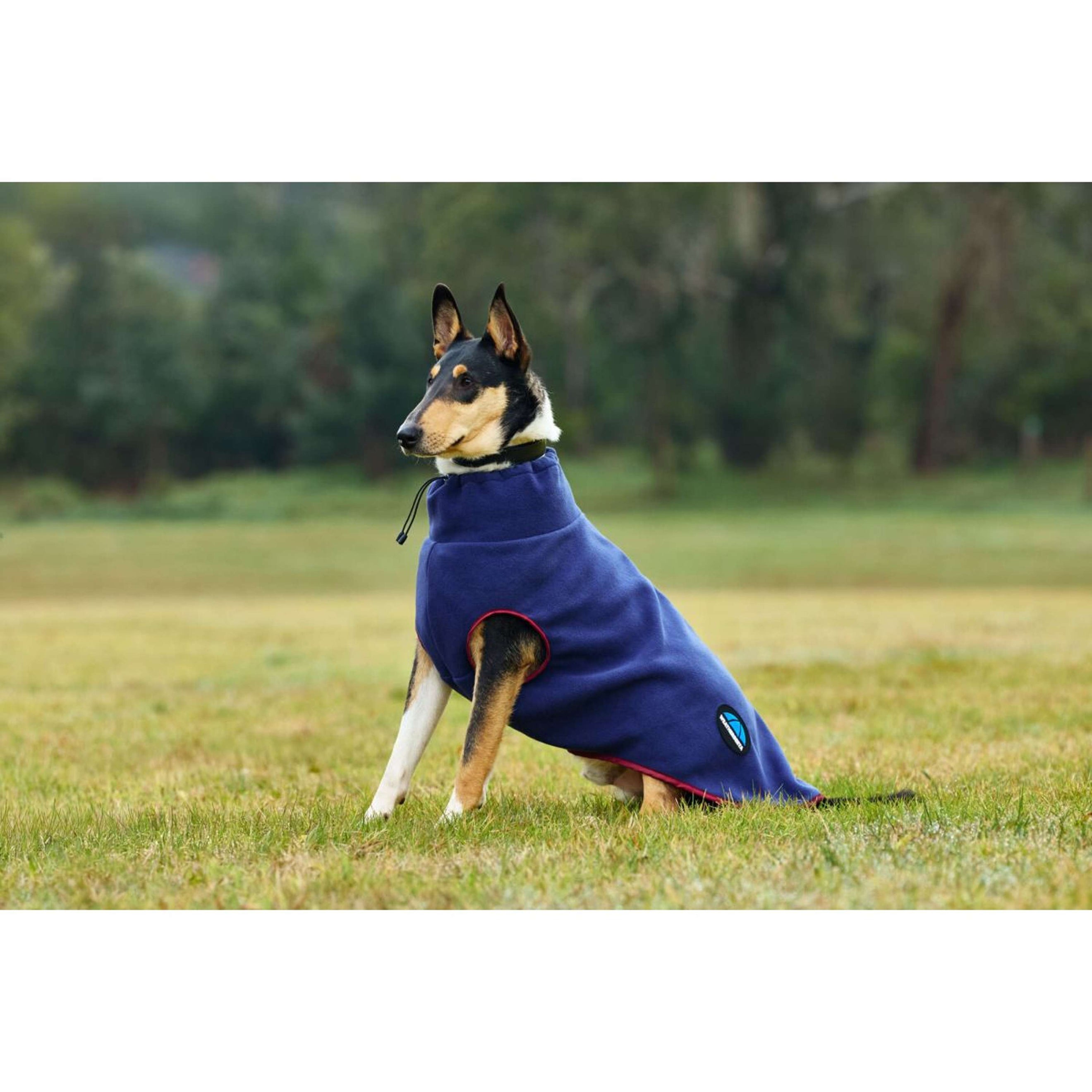 WeatherBeeta Coperta per Cani ComFiTec Fleece Zip Navy/Burgundy