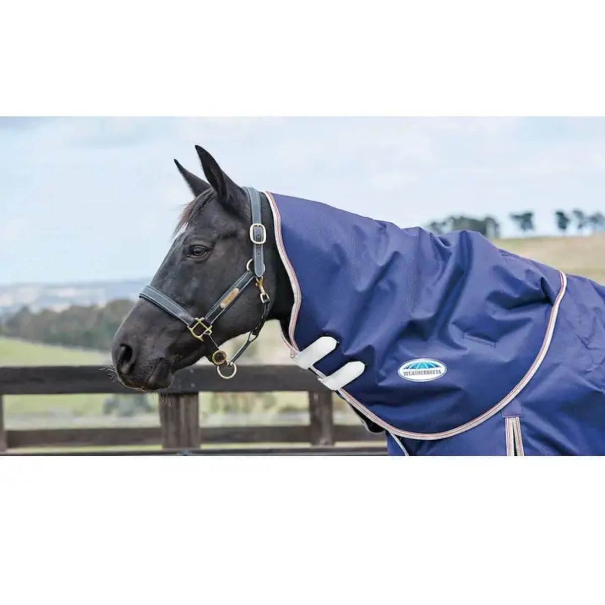 Weatherbeeta Collo posteriore leggero Comfitec Essenziale Navy/Silver/Red