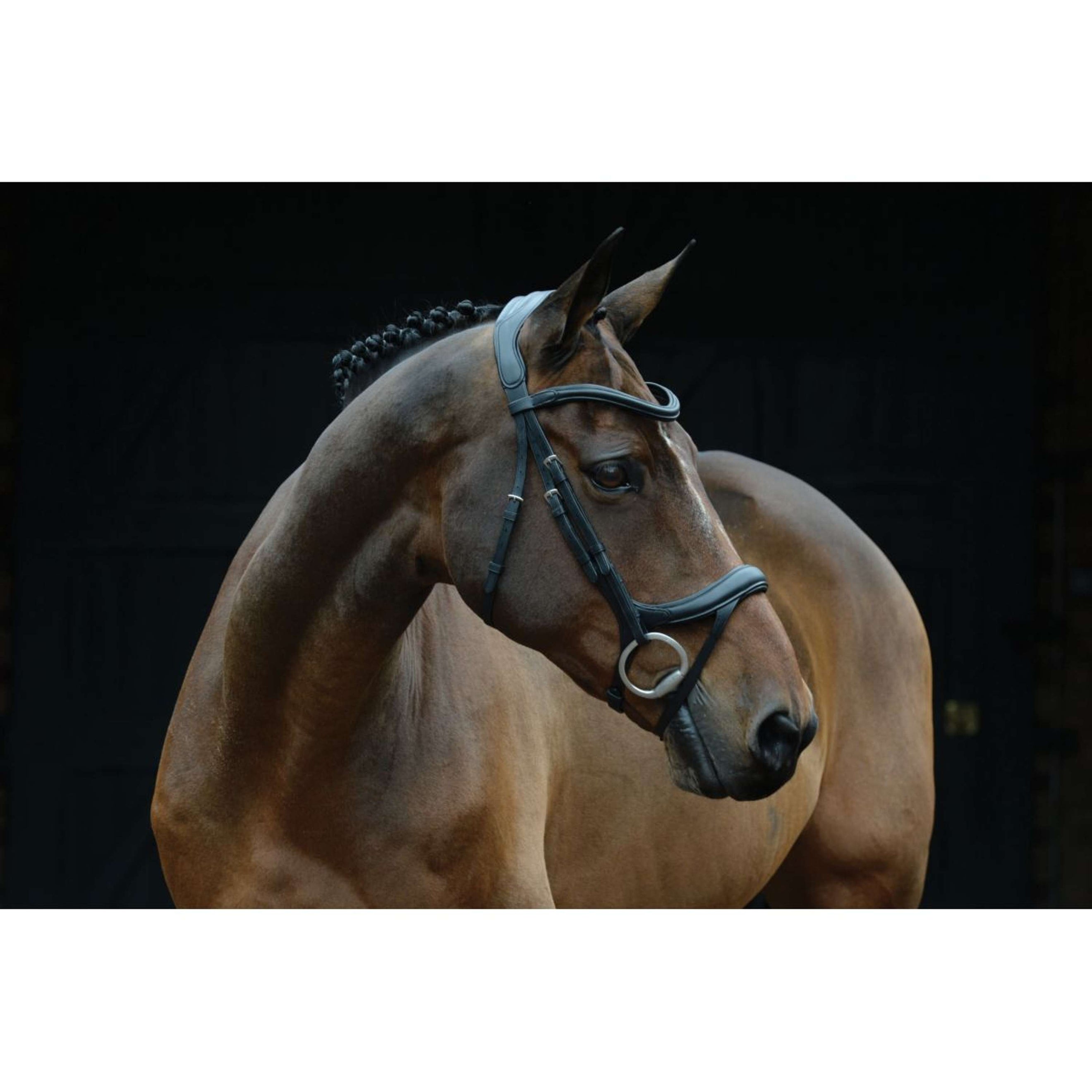 Collegiate Briglia ComFiTec Vogue Anatomisch Nero Collegiate Briglia ComFiTec Vogue Anatomisch Nero
