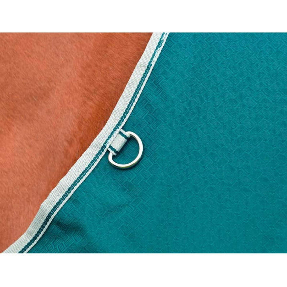 Weatherbeeta Coperta Impermeabile Comfitec Plus Dynamic II Standard Neck Lite 0 g Teal Green/Stone/Teal Green