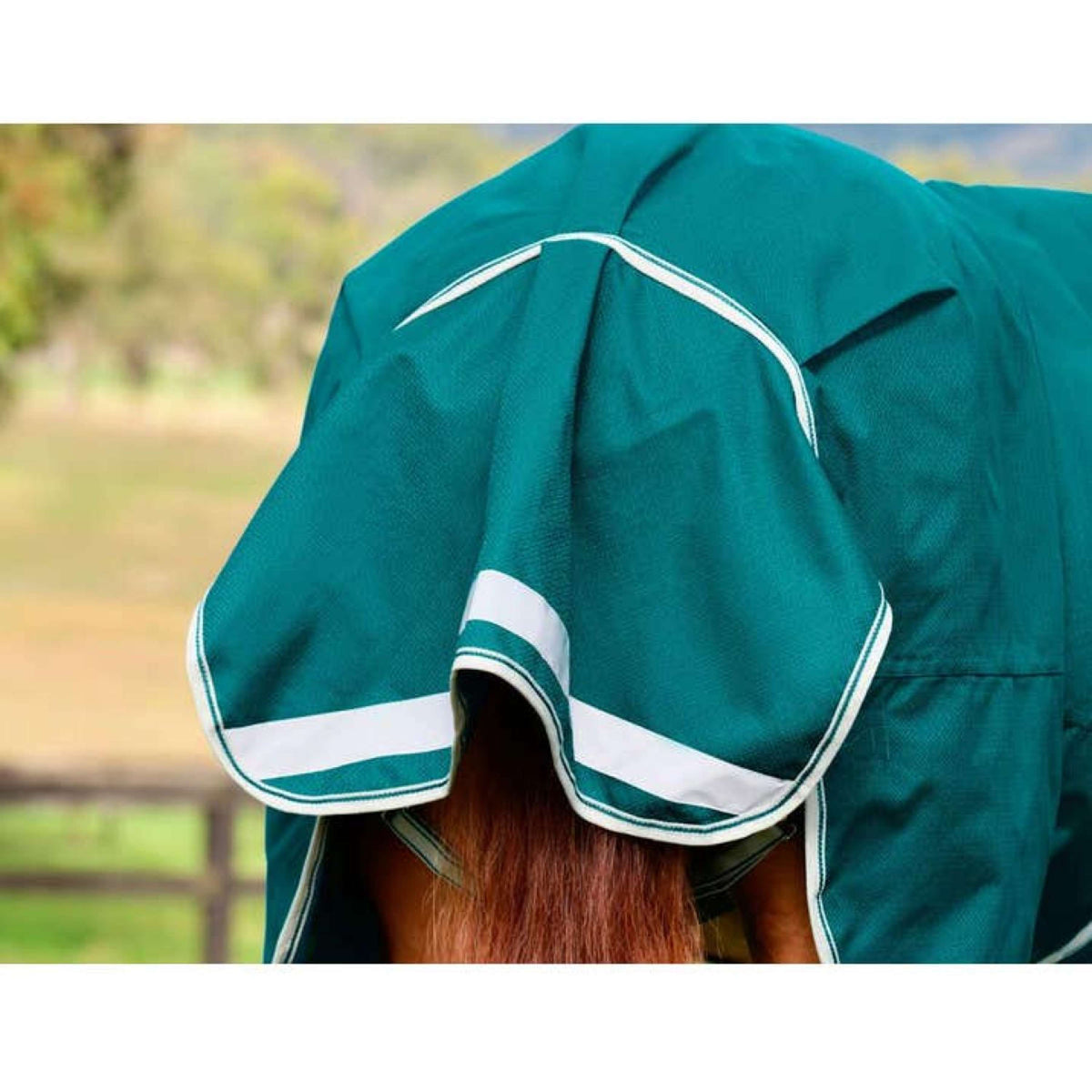 Weatherbeeta Coperta Impermeabile Comfitec Plus Dynamic II Standard Neck Lite 0 g Teal Green/Stone/Teal Green