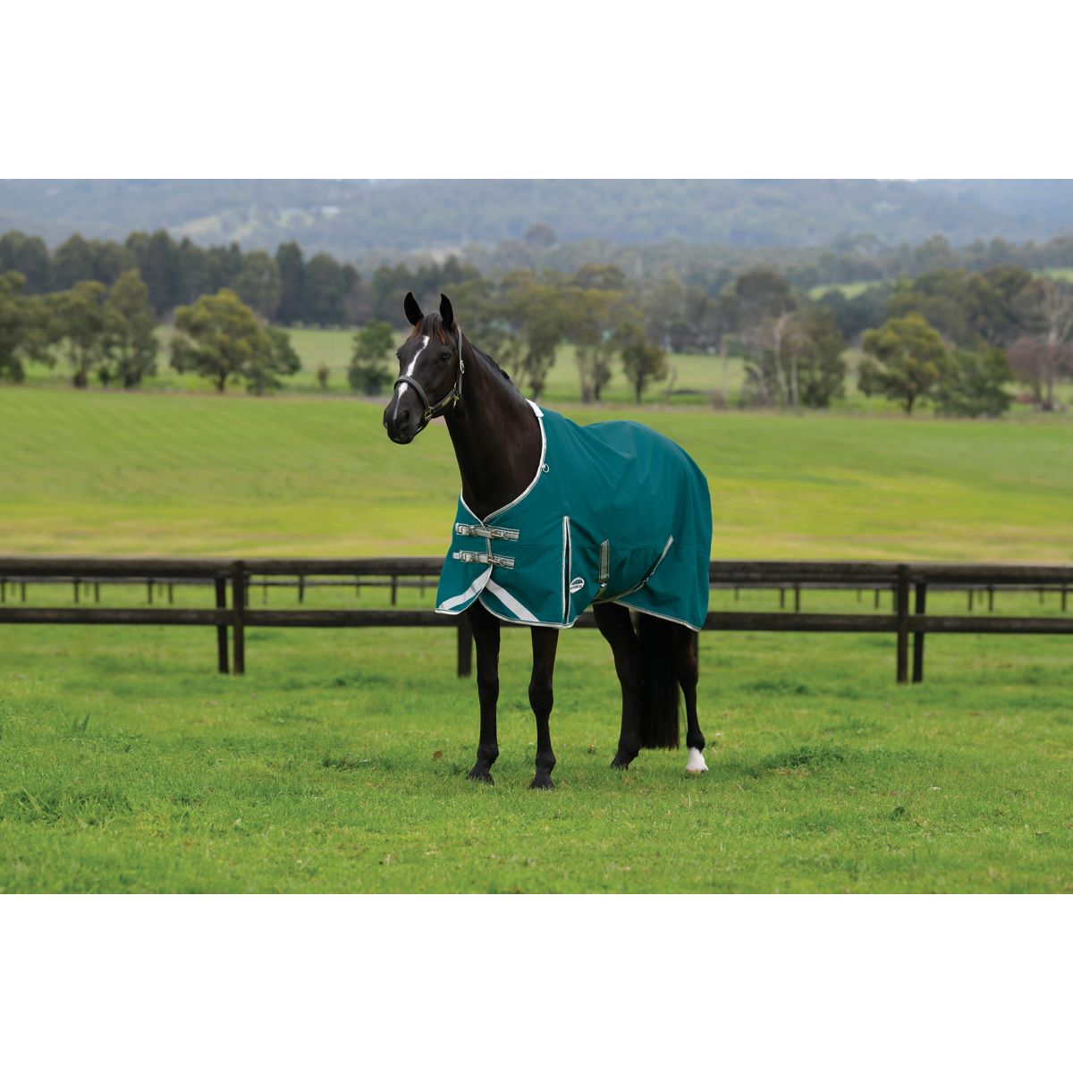 Weatherbeeta Coperta Impermeabile Comfitec Plus Dynamic II Standard Neck Lite 0 g Teal Green/Stone/Teal Green