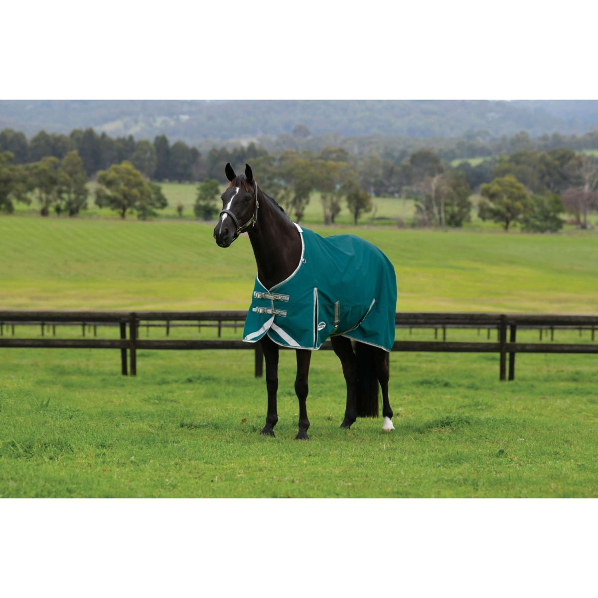 Weatherbeeta Coperta Impermeabile Comfitec Plus Dynamic II Standard Neck Lite 0 g Teal Green/Stone/Teal Green