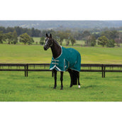 Weatherbeeta Coperta Impermeabile Comfitec Plus Dynamic II Standard Neck Lite 0 g Teal Green/Stone/Teal Green