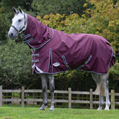 Weatherbeeta Comfitec Plus Dynamic II Detach-A-Neck Heavy Marrone/Grigio/Bianco