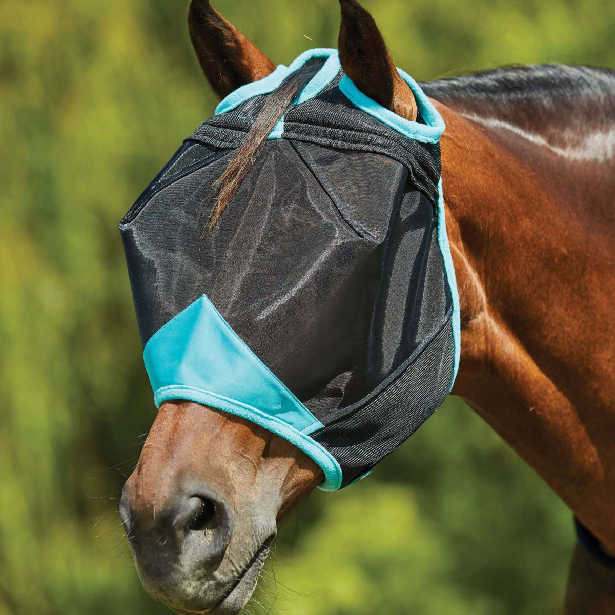 Weatherbeeta Maschera per Mosche Comfitec Deluxe Fine Mesh Nero/Turchese