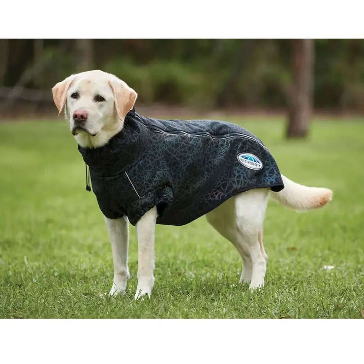 WeatherBeeta Cappotto per Cane ComFiTec Reflective Print Active Nero/Arcobaleno