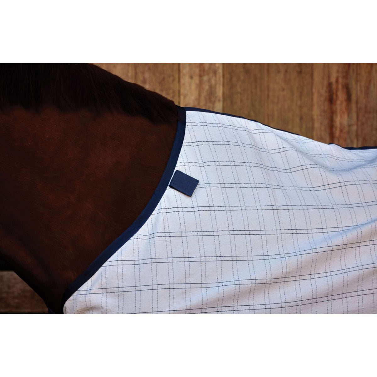 Weatherbeeta Comfitec Cotton Sheet liner Bianco/blu marino