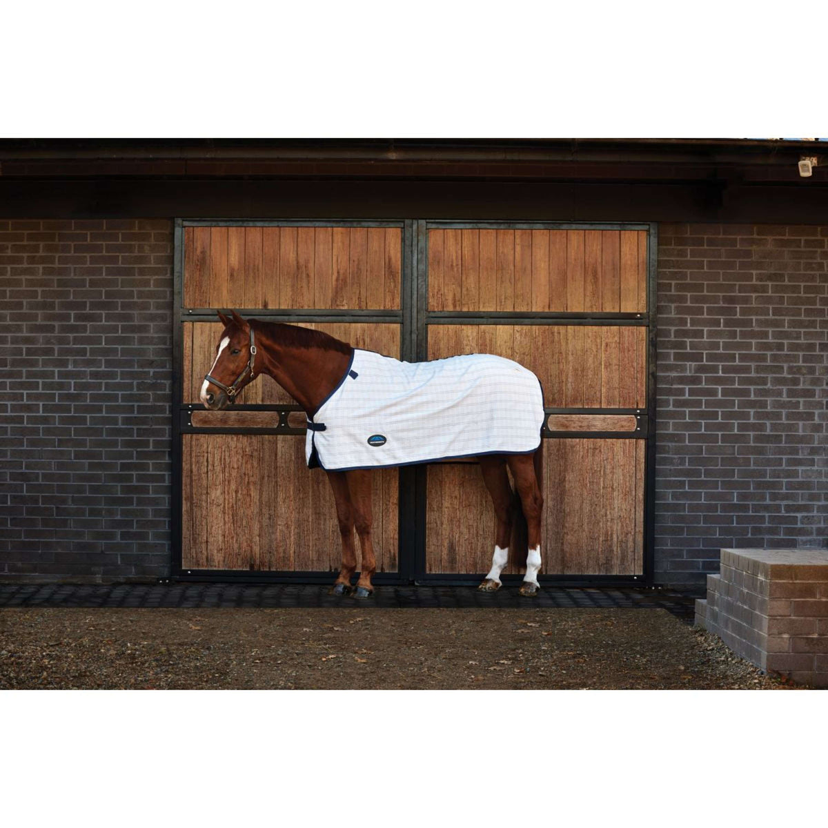 Weatherbeeta Comfitec Cotton Sheet liner Bianco/blu marino