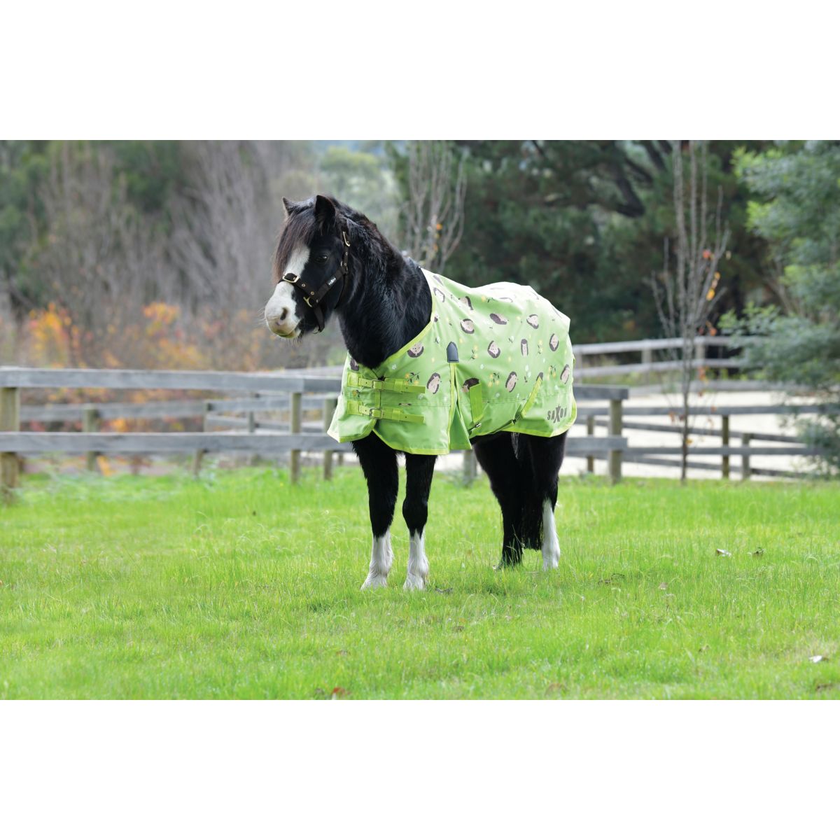 Saxon Coperta Impermeabile 600D Pony Standard Neck Lite 0 g Hedgehogs/Flowers Print