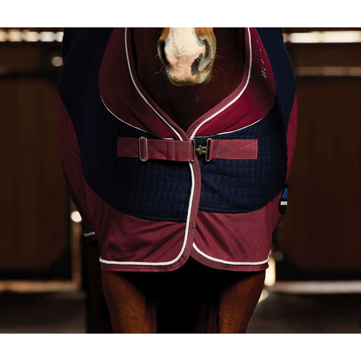 Weatherbeeta Coperta in Pile Thermo-Air Standard Neck Navy/Burgundy