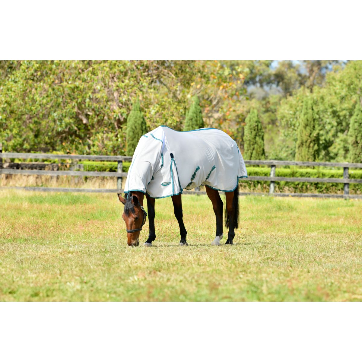 WeatherBeeta Coperta Antimosche ComFiTec Zephyr Plus Mesh Combo Neck Silver/Teal Green/Stone