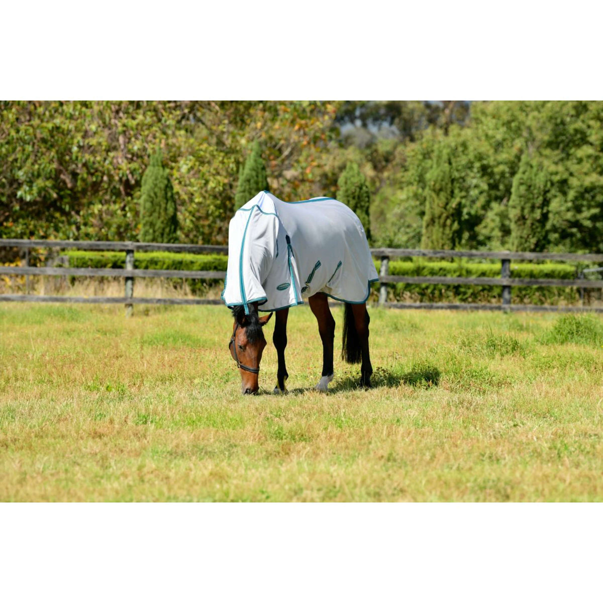 WeatherBeeta Coperta Antimosche ComFiTec Zephyr Plus Mesh Combo Neck Silver/Teal Green/Stone