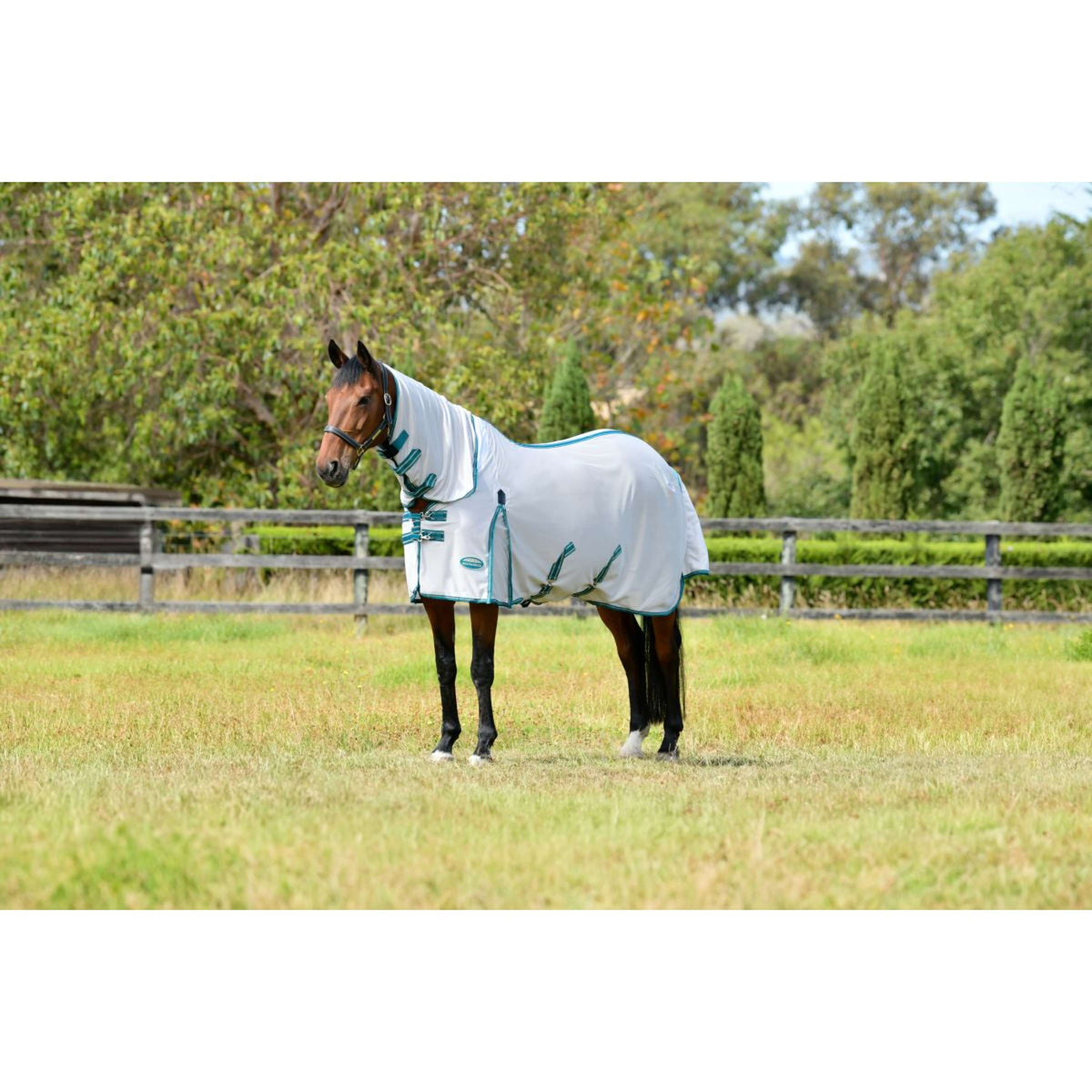 WeatherBeeta Coperta Antimosche ComFiTec Zephyr Plus Mesh Combo Neck Silver/Teal Green/Stone