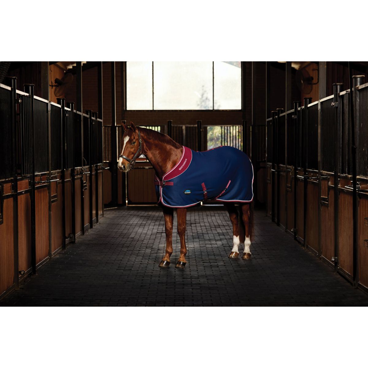 Weatherbeeta Coperta da esposizione Opulence Standard Neck Navy/Burgundy