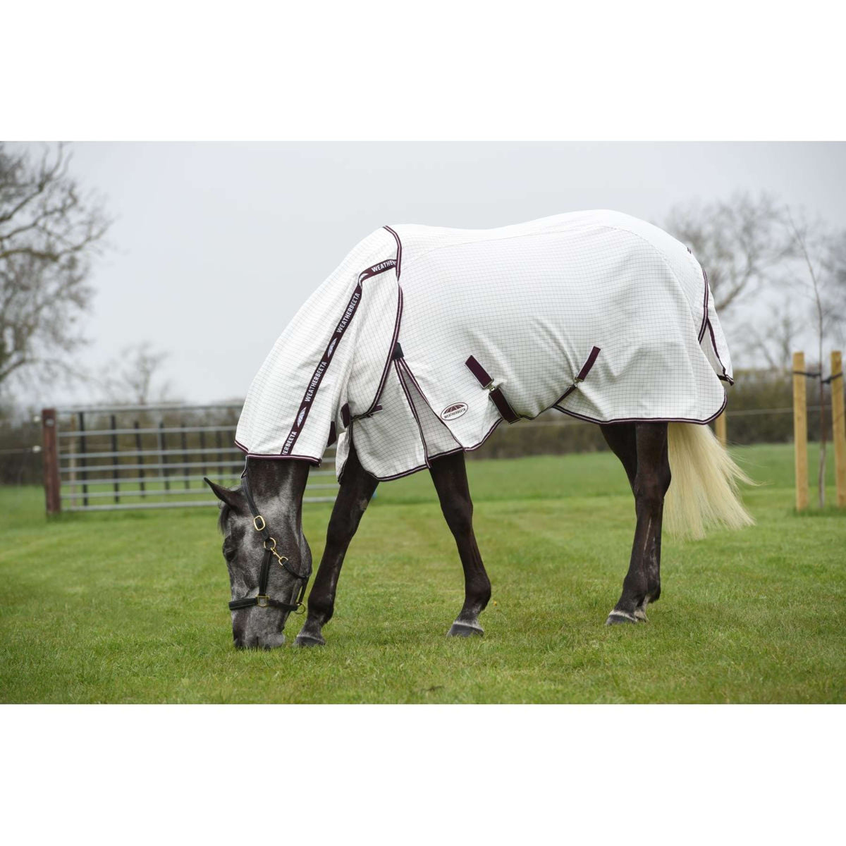 WeatherBeeta Coperta Estiva Hybrid Seasons Combo Neck White/Maroon